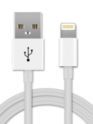 Smartberry Fast  Iphone Charger with Cable, White, C400